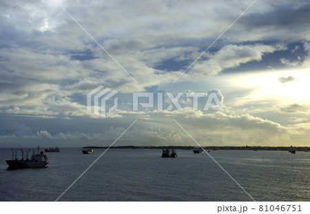 ガダルカナル島のホニアラ港の夜明けの港湾風景 81046751