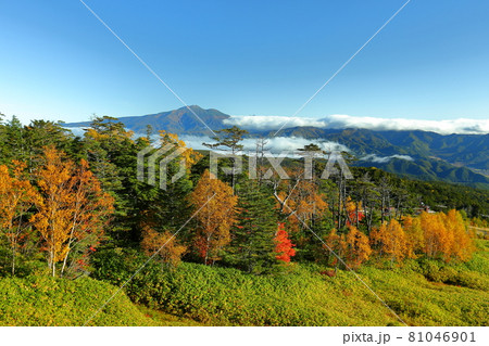 長野県木曽郡木曽町 御岳ロープウェイからの紅葉の御嶽山の景色の写真素材