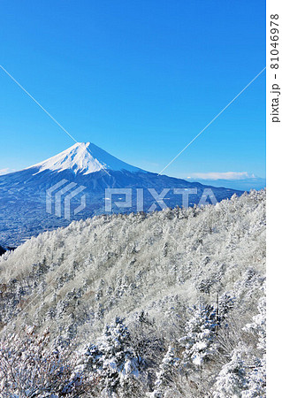 冬の青空　富士山と樹氷風景 81046978