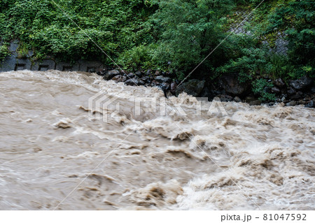 大雨で増水した川 81047592