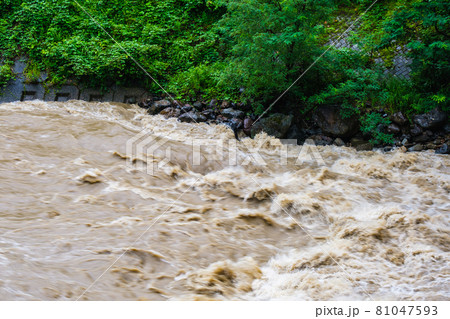 大雨で増水した川 81047593