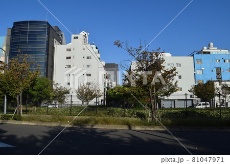 大阪府西区 大阪府西区 81047971