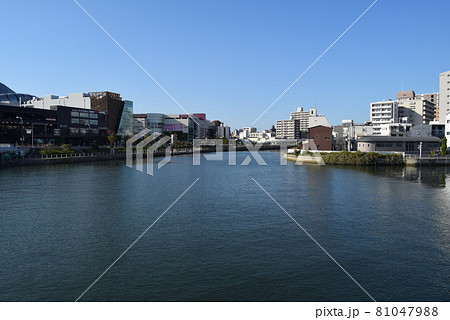 大阪府西区 81047988