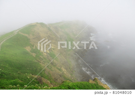 霧の襟裳岬 81048010