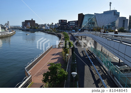 大阪府西区 大阪府西区 81048045