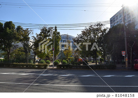 大阪府西区 大阪府西区 81048158