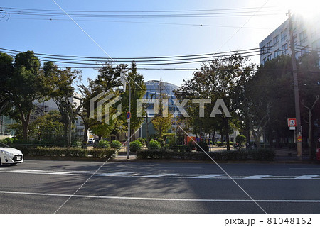 大阪府西区　 81048162