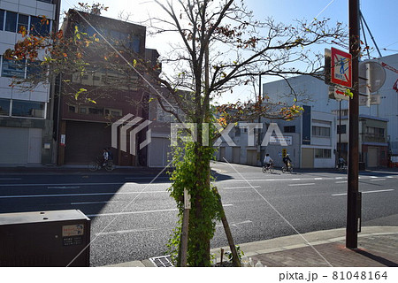 大阪府西区　 81048164