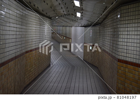 大阪府西区　 81048197