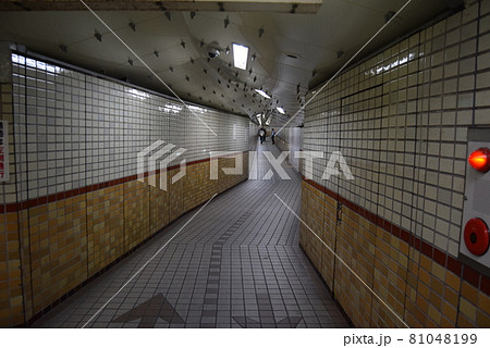 大阪府西区　 81048199