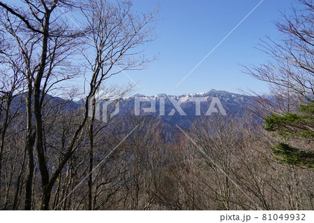 静岡県　南アルプス深南部　朝日岳登山道から不動岳方面 81049932