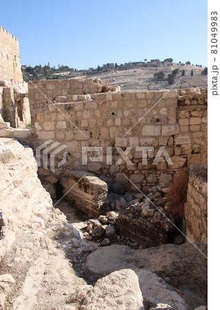 南の壁考古学博物館 81049983