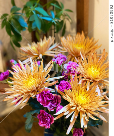 菊の花とスプレーカーネーションの花束 81050992