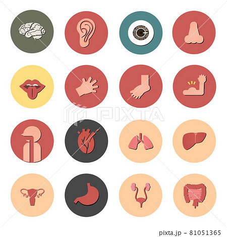 Human body icon set ,人体アイコンセット Human body icon set ,人体アイコンセット 81051365