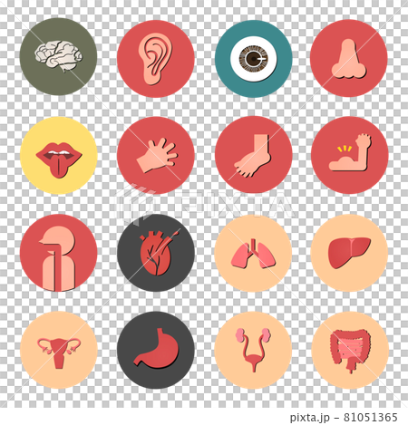 Human body icon set ,人体アイコンセット Human body icon set ,人体アイコンセット 81051365