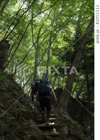 東京都西多摩郡奥多摩町の本仁田山のルートの大休場尾根の登山客 81051511