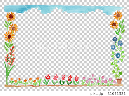 夏の花の水彩イラストフレーム 81051521