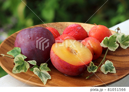 貴陽と大石プラム3 81051566