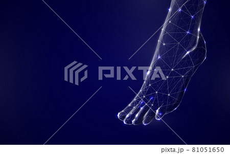 3d Human feet from lines, triangles and particle style design. Illustration vector 81051650
