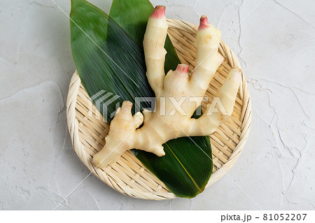 新生姜 白背景 81052207