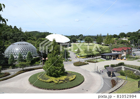 鞍ケ池公園の眺望 81052994
