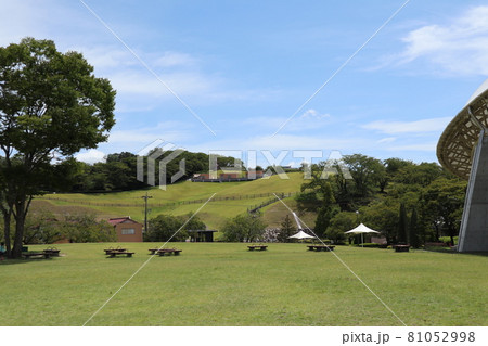 鞍ケ池公園 芝生広場 鞍ケ池公園 芝生広場 81052998