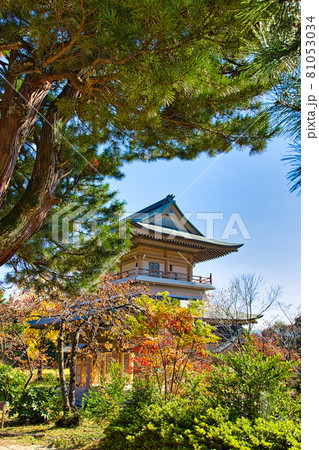 敦賀市 西福寺庭園 敦賀市 西福寺庭園 81053034