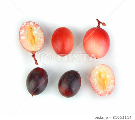 Top view of Carissa carandas,mango yawn lemon boo isolated on white background Top view of Carissa carandas,mango yawn lemon boo isolated on white background 81053114