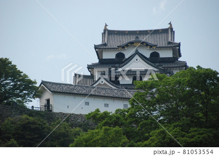 彦根城(滋賀県彦根市金亀町) 彦根城(滋賀県彦根市金亀町) 81053554