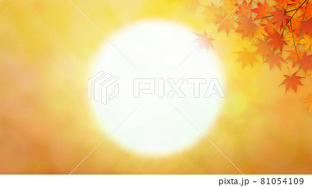 紅葉と夕日　背景素材 81054109