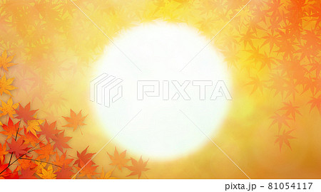 紅葉と夕日　背景素材 81054117