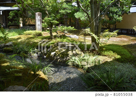 京都嵐山　天龍寺 81055038