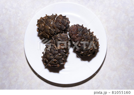Brown cones with pine nuts in resin. Brown cones with pine nuts in resin. 81055160
