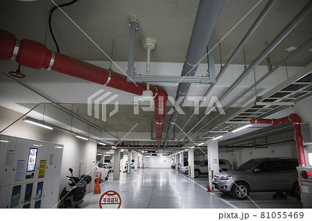 パイプ 自動車 照明 81055469