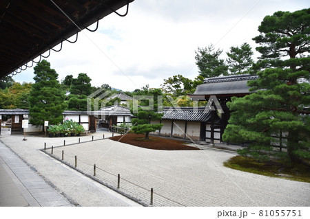 京都嵐山　天龍寺 81055751