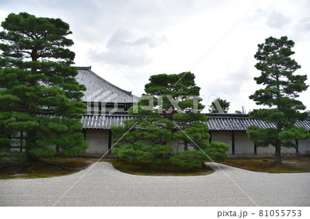 京都嵐山　天龍寺 81055753