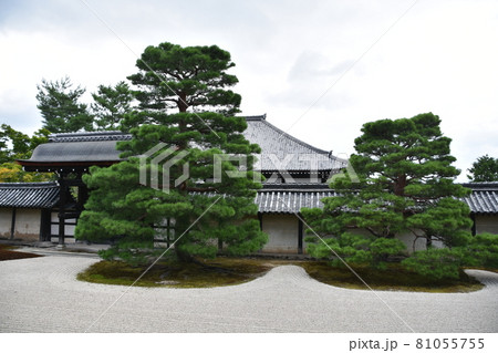 京都嵐山 天龍寺 京都嵐山 天龍寺 81055755