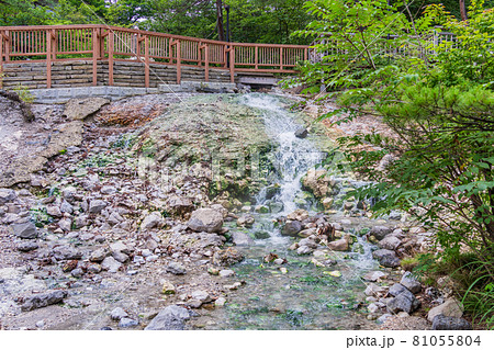 (群馬県)草津温泉・西の河原公園 (群馬県)草津温泉・西の河原公園 81055804
