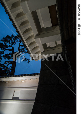 「黄昏の小田原城」　午後6時40分ごろ夜間照明の開始と共に白壁の天守閣、重厚な常盤門が浮かび上がった 81055896