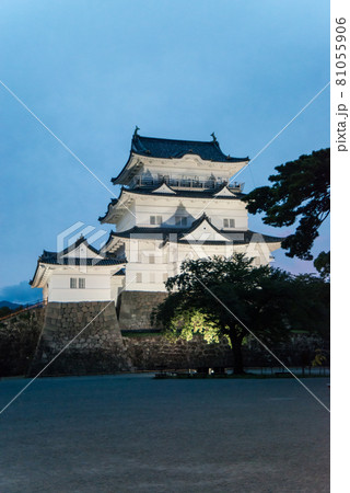 「黄昏の小田原城」　午後6時40分ごろ夜間照明の開始と共に白壁の天守閣、重厚な常盤門が浮かび上がった 81055906