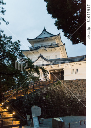 「黄昏の小田原城」　午後6時40分ごろ夜間照明の開始と共に白壁の天守閣、重厚な常盤門が浮かび上がった 81055917