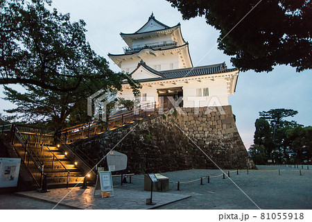 「黄昏の小田原城」　午後6時40分ごろ夜間照明の開始と共に白壁の天守閣、重厚な常盤門が浮かび上がった 81055918