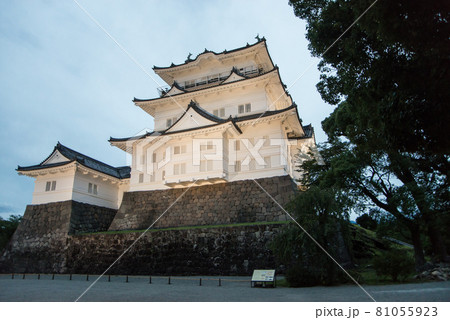 「黄昏の小田原城」　午後6時40分ごろ夜間照明の開始と共に白壁の天守閣、重厚な常盤門が浮かび上がった 81055923