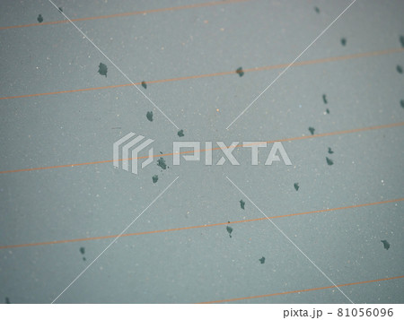 Drops of water on rear car window, heating stripes visible. 81056096