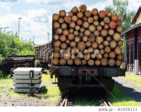 Timber transport by trail by railways. The train car stands in a depot 81056111