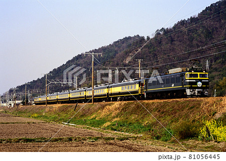 1998年 東海道本線を行くEF8143サロンカーなにわ団臨 1998年 東海道本線を行くEF8143サロンカーなにわ団臨 81056445
