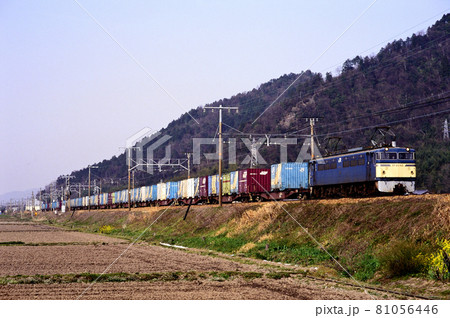 1998年 東海道本線を行くEF65103コンテナ貨物列車 1998年 東海道本線を行くEF65103コンテナ貨物列車 81056446