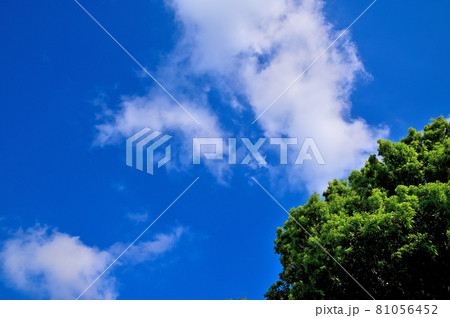 梅雨明けの空 81056452