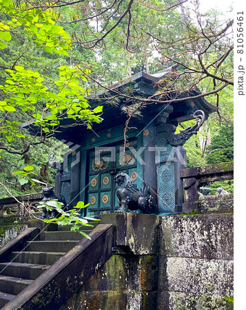 徳川家康の墓 徳川家康の墓 81056461