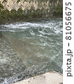 川 81056675